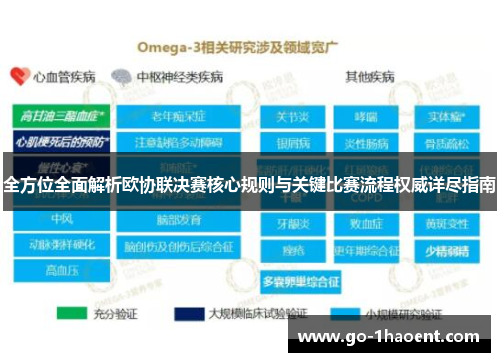 全方位全面解析欧协联决赛核心规则与关键比赛流程权威详尽指南