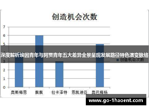 深度解析埃因青年与阿贾青年五大差异全景呈现发展路径特色演变脉络